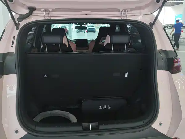 BYD Seagull 2024