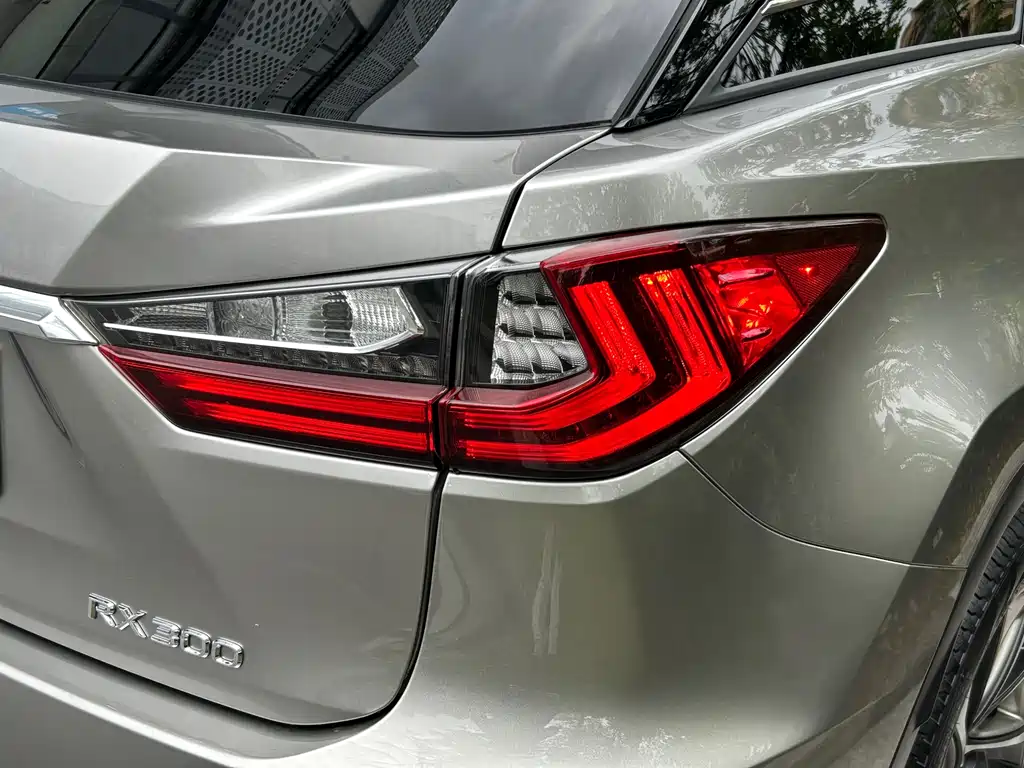 Lexus RX 2018 — фото 25