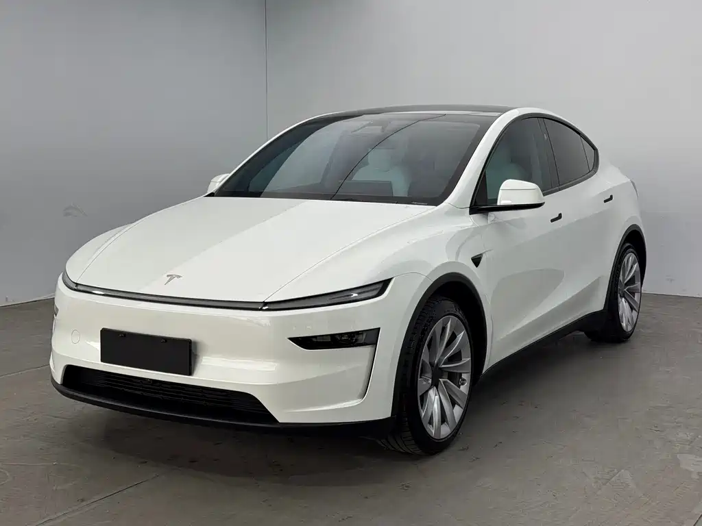 Tesla Model Y 2025 — фото 1