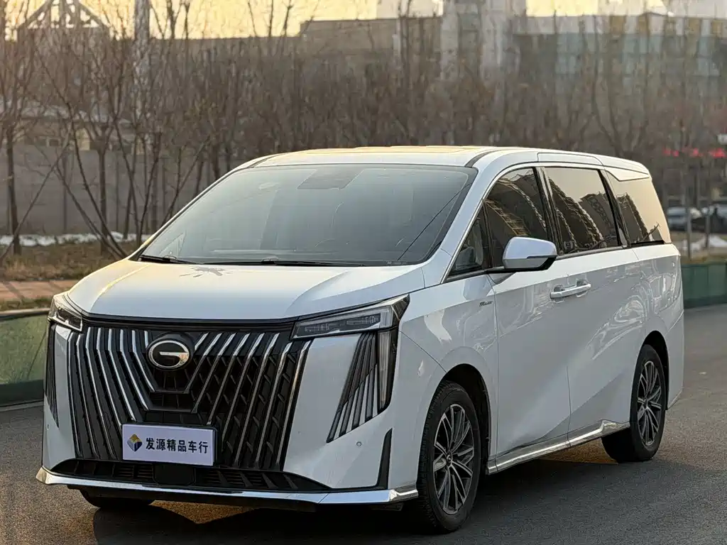 GAC Motor Trumpchi M8 2024 — фото 1