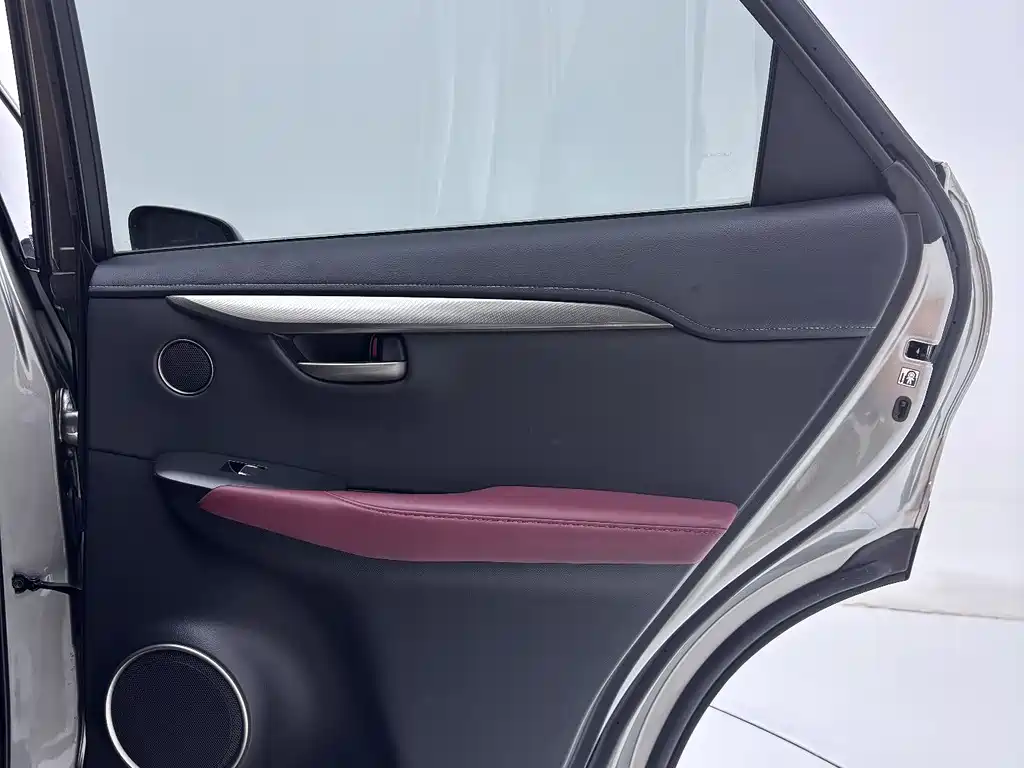 Lexus NX 2020 — фото 25
