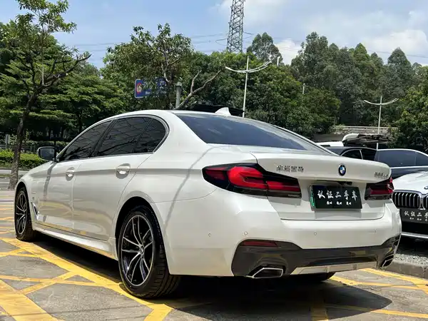 BMW 5 Series New Energy 2021