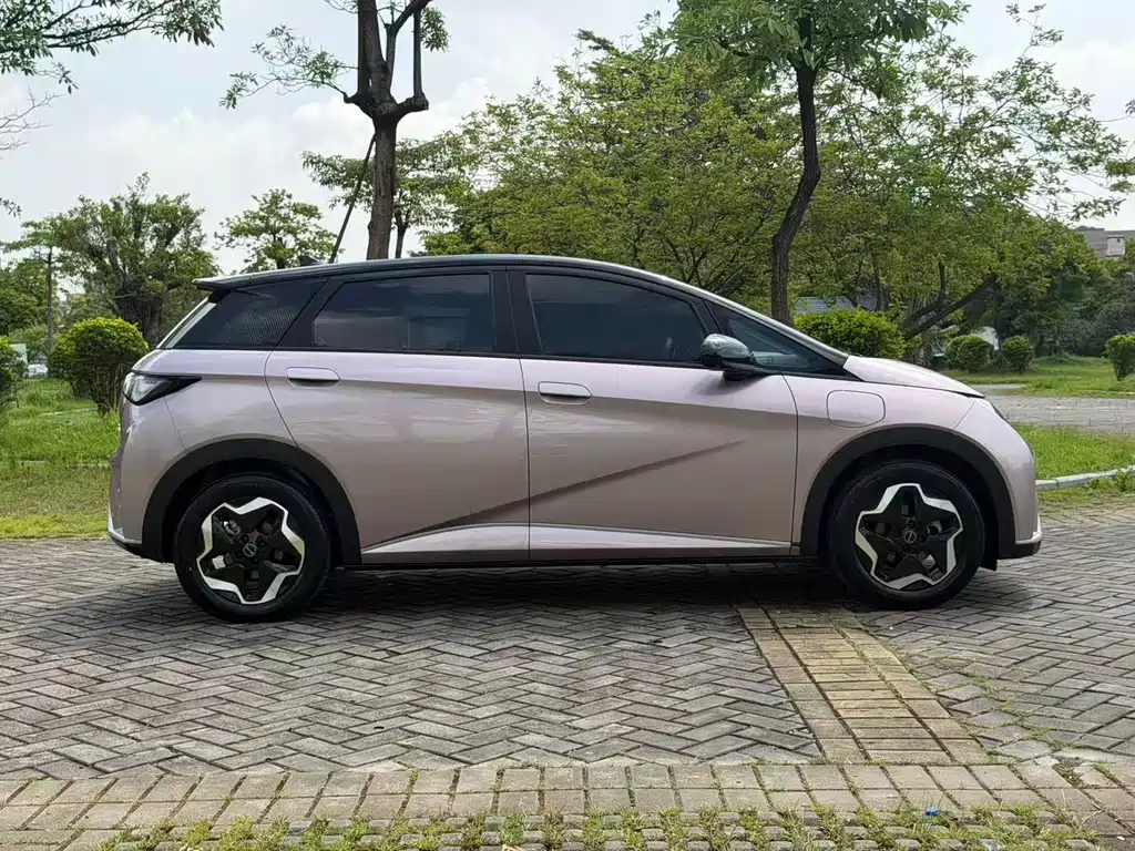 BYD Dolphin 2023