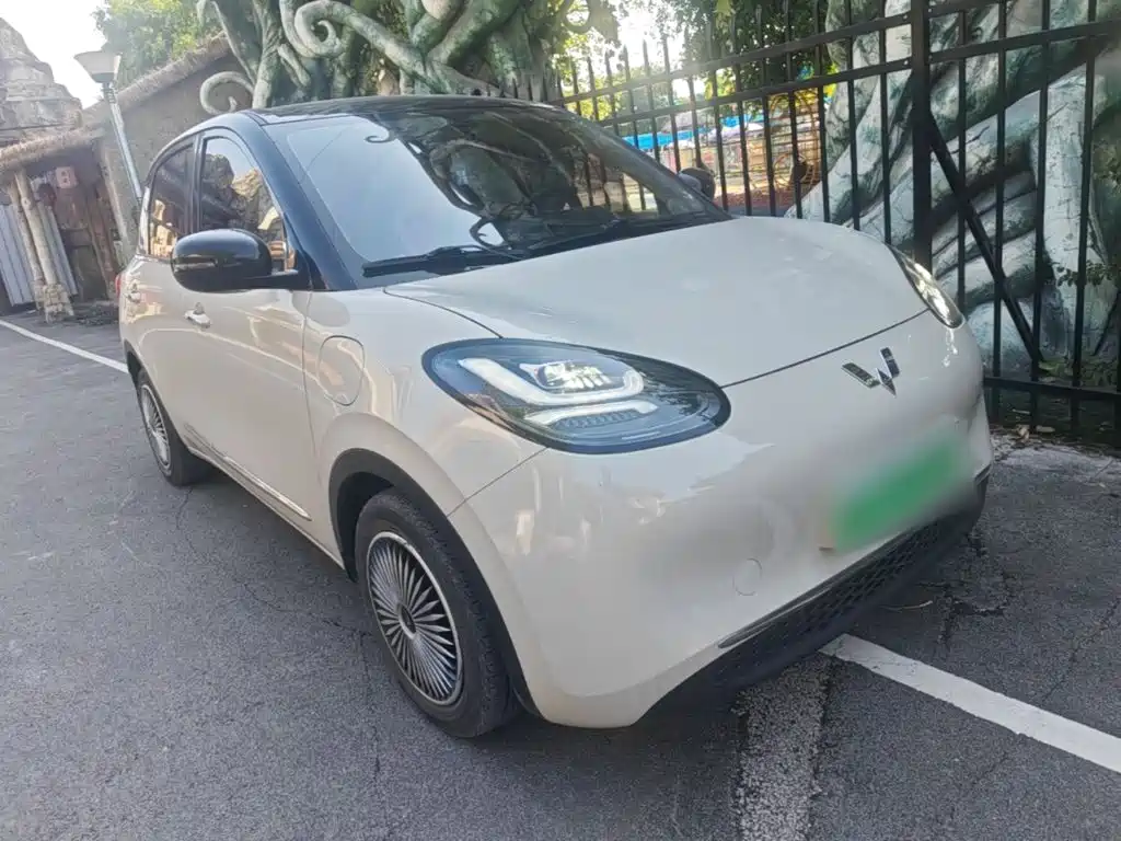 Wuling Bingo 2024