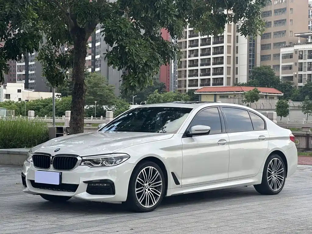 BMW 5 Series 2019
