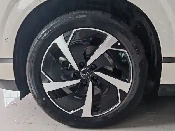 BYD Sealion 06 2025