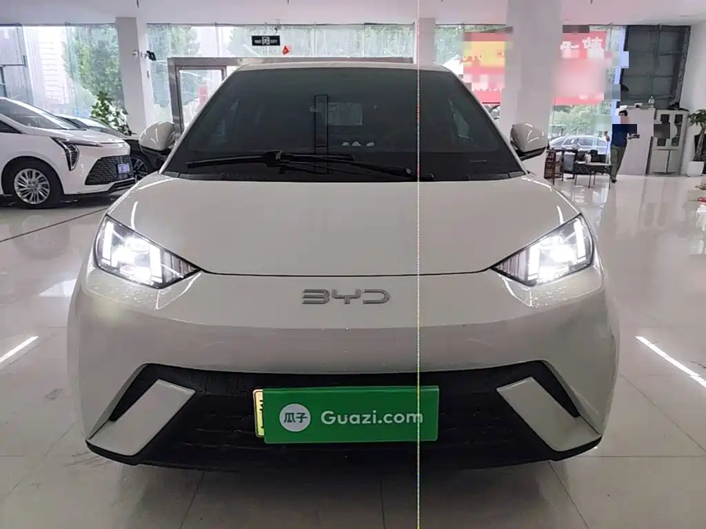 BYD Seagull 2025