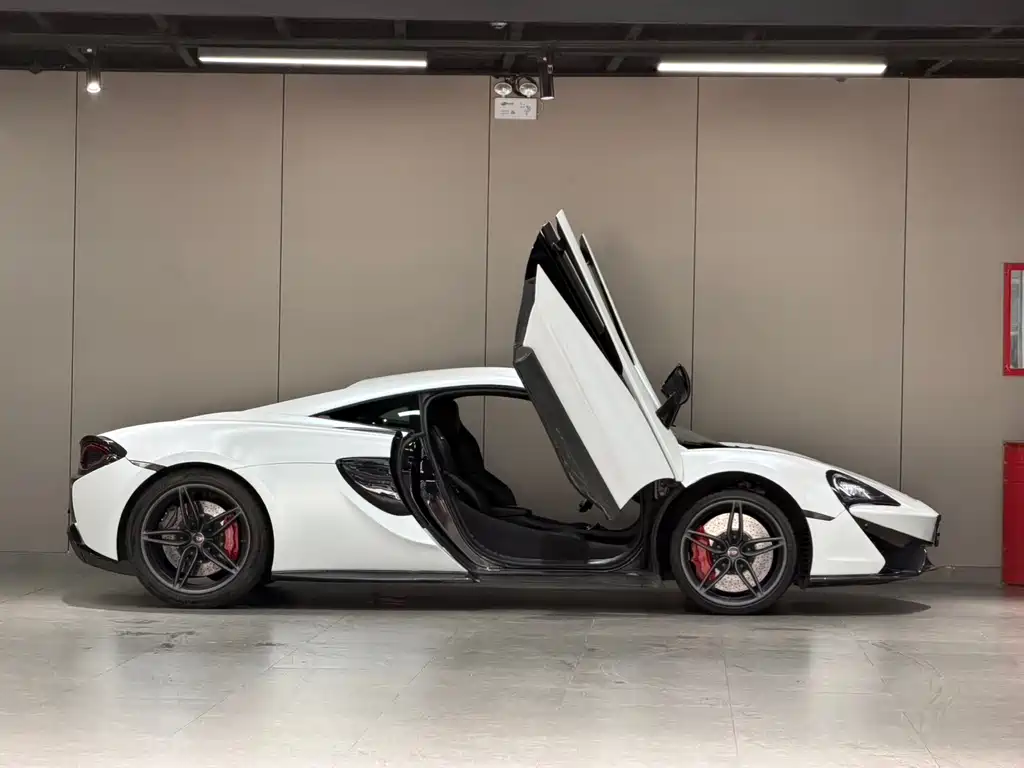 McLaren 570 2016 — фото 11