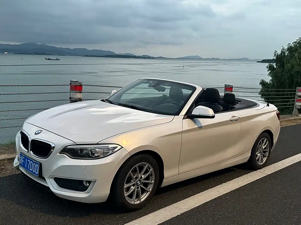 BMW 2 Series 2016