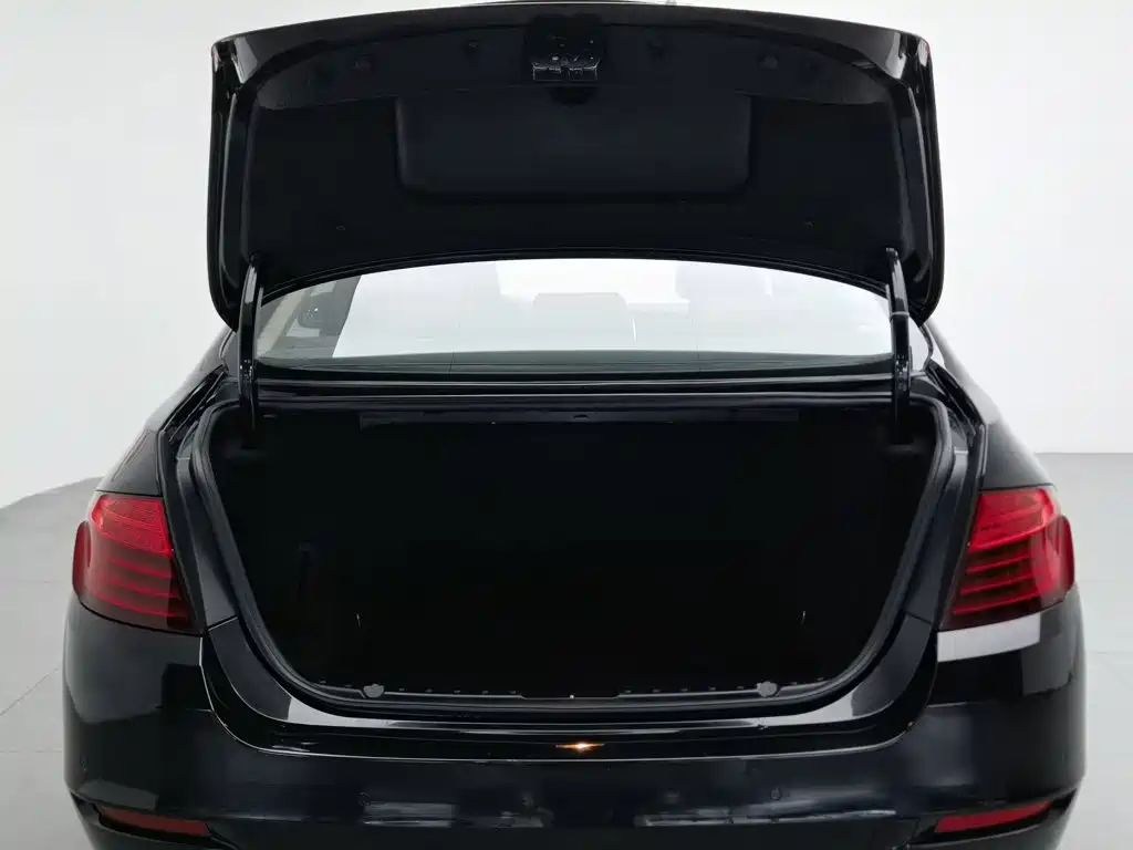 BMW 5 Series 2014 — фото 16