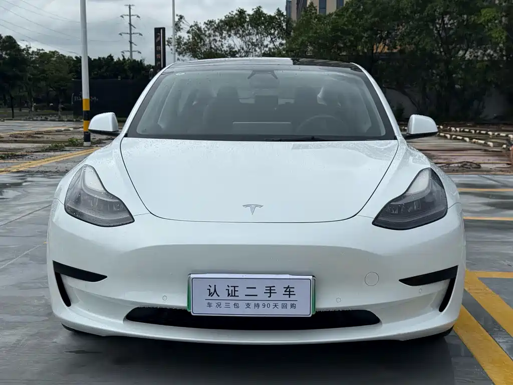 Tesla Model 3 2021 — фото 2