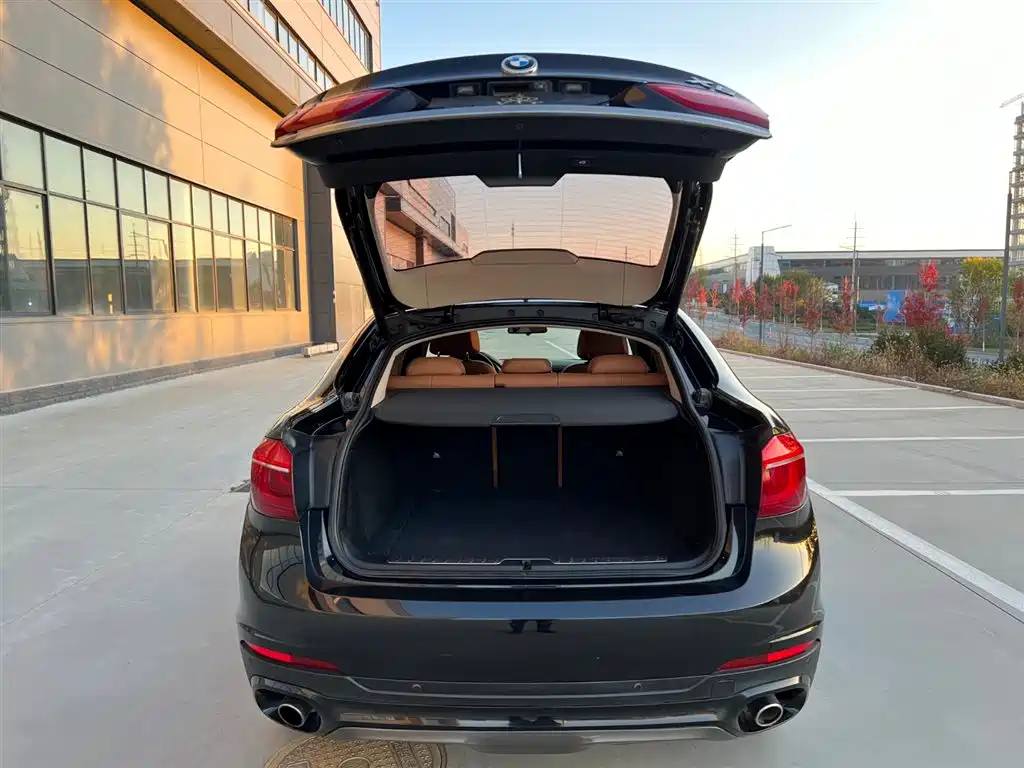 BMW X6 2018 — фото 16