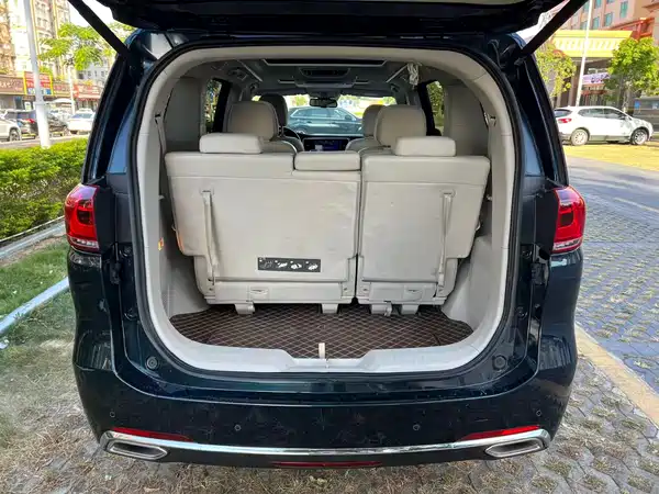 GAC Trumpchi M8 2018
