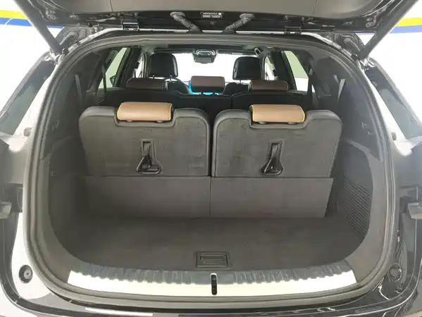 BYD Tang New Energy 2021