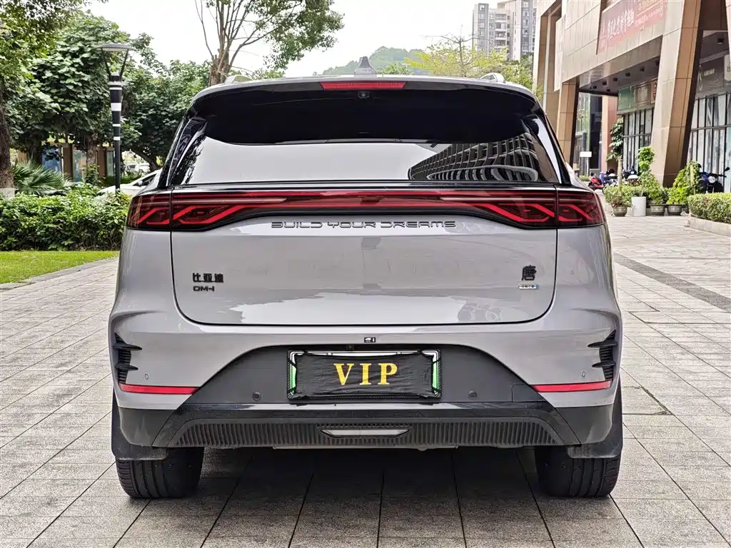 BYD Tang New Energy 2025 — фото 16