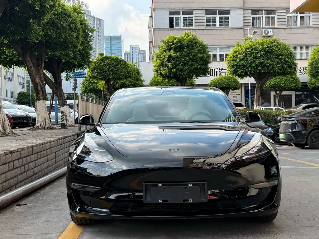 Tesla Model 3 2022 — фото 2