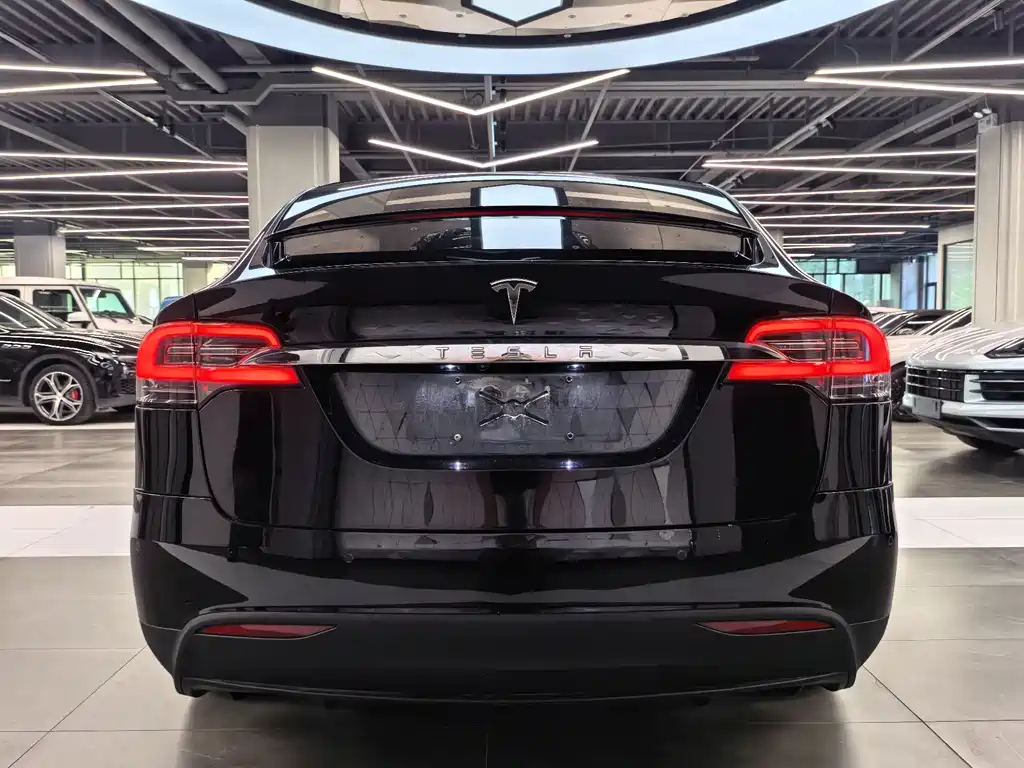 Tesla Model X 2017 — фото 5