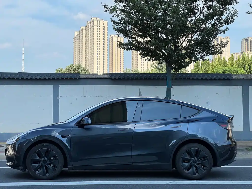 Tesla Model Y 2021 — фото 9