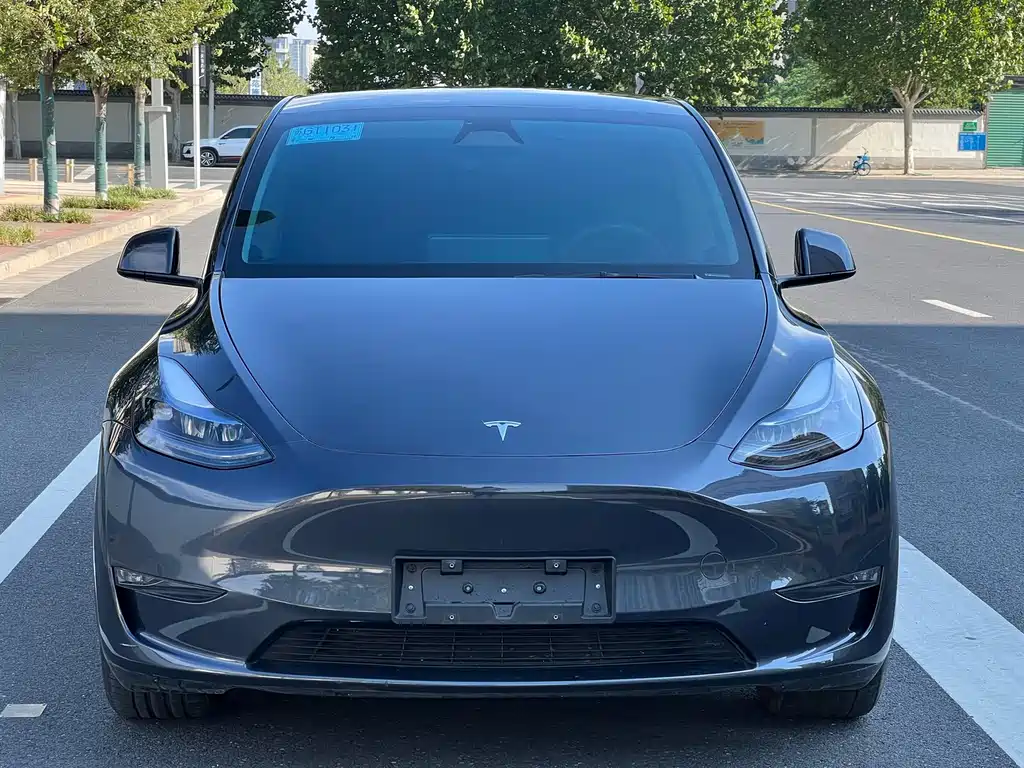 Tesla Model Y 2021 — фото 1