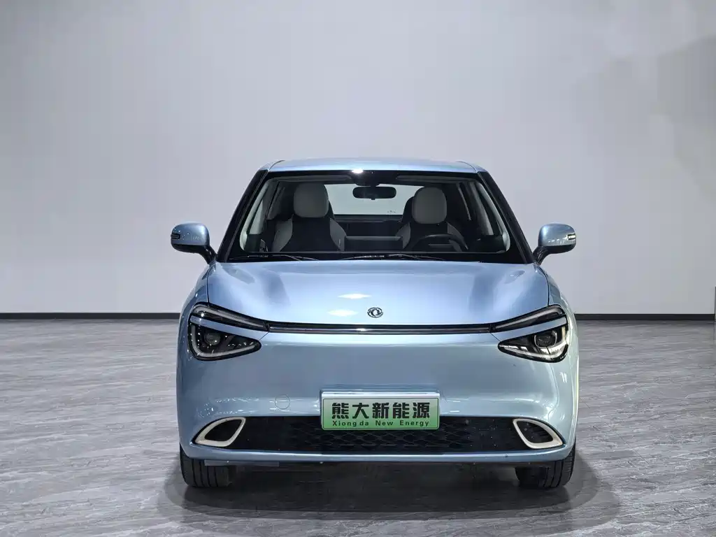 Dongfeng Nano 01 2024