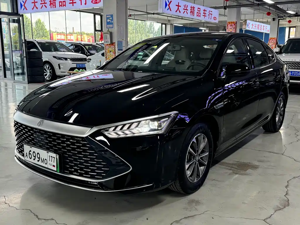 BYD Qin PLUS 2024 — фото 1