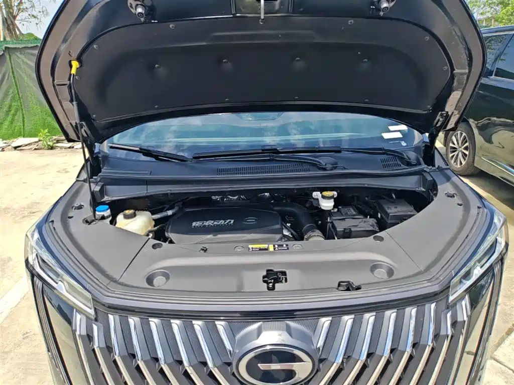 GAC Motor Trumpchi M8 2025 — фото 20