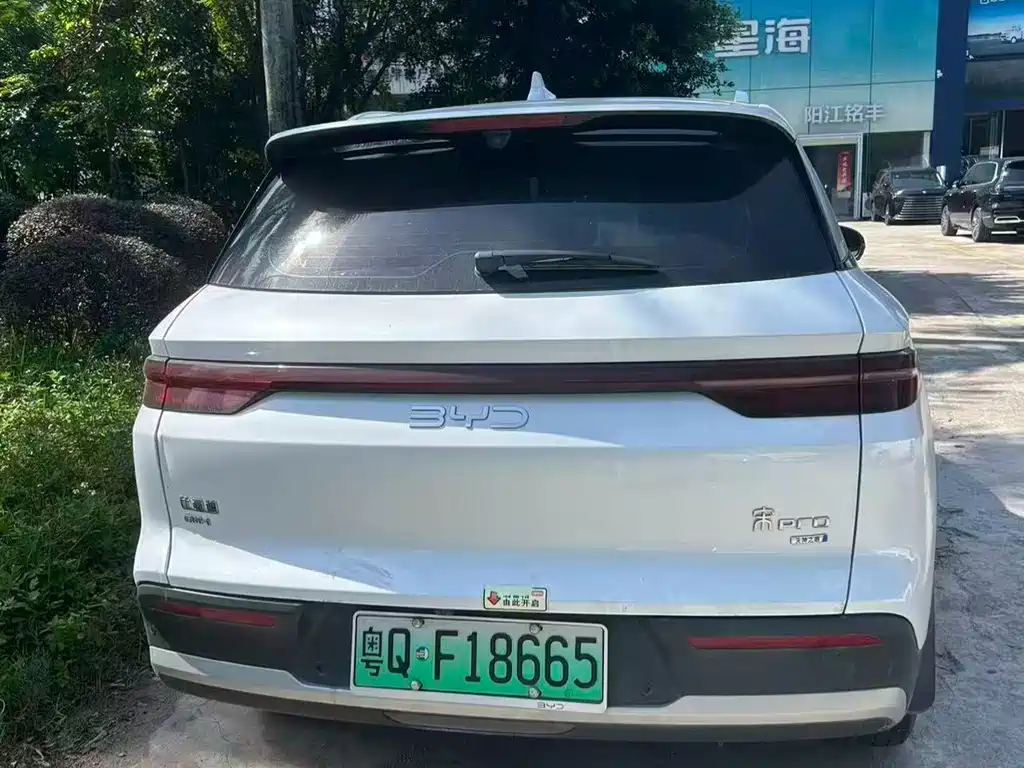 BYD Pro New Energy 2025 — фото 2