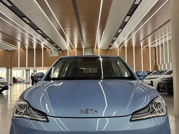 Neta V 2023
