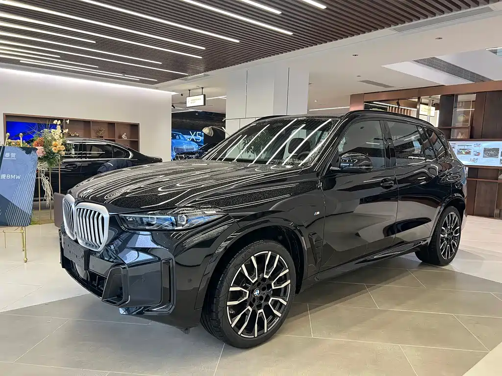 BMW X5 — фото 1
