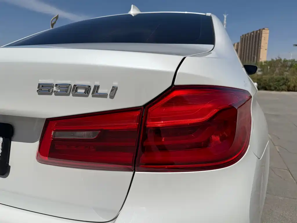 BMW 5 Series 2019 — фото 9