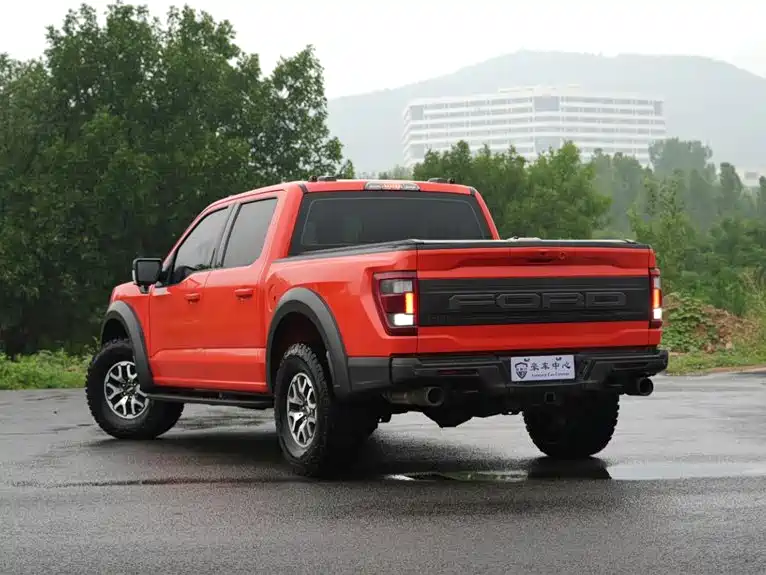 Ford F-150 Raptor 2024 — фото 6