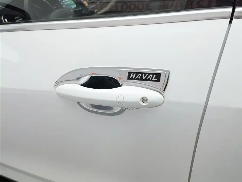 Haval H6 2020 — фото 18