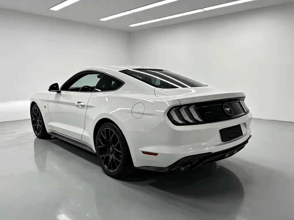 Ford Mustang 2019 — фото 14
