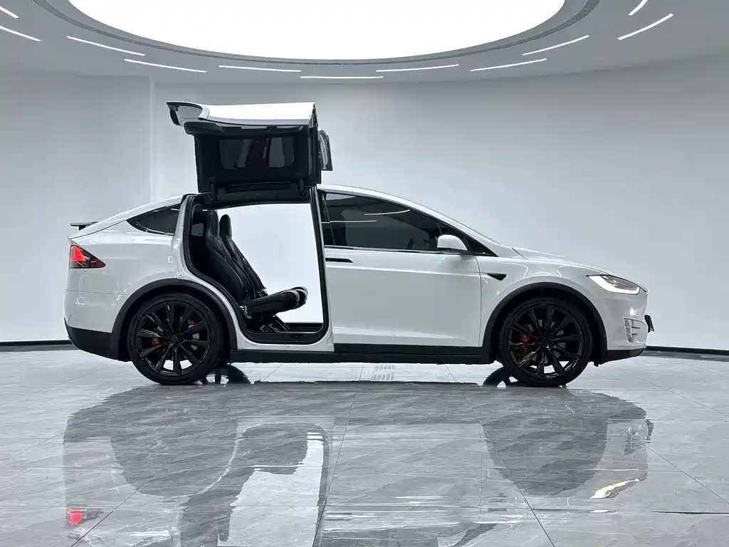 Tesla Model X 2017 — фото 9