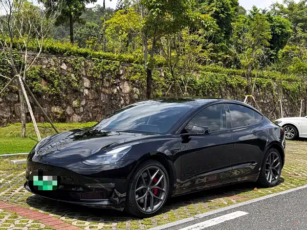Tesla Model 3 2022