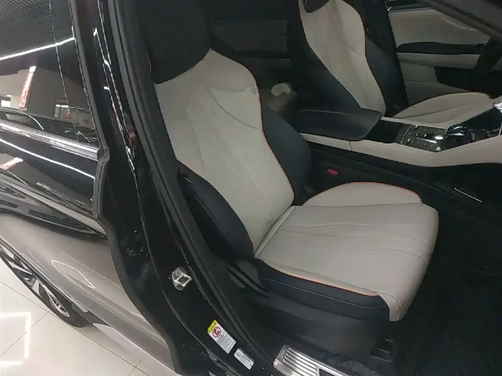 BYD PLUS New Energy 2023 — фото 25