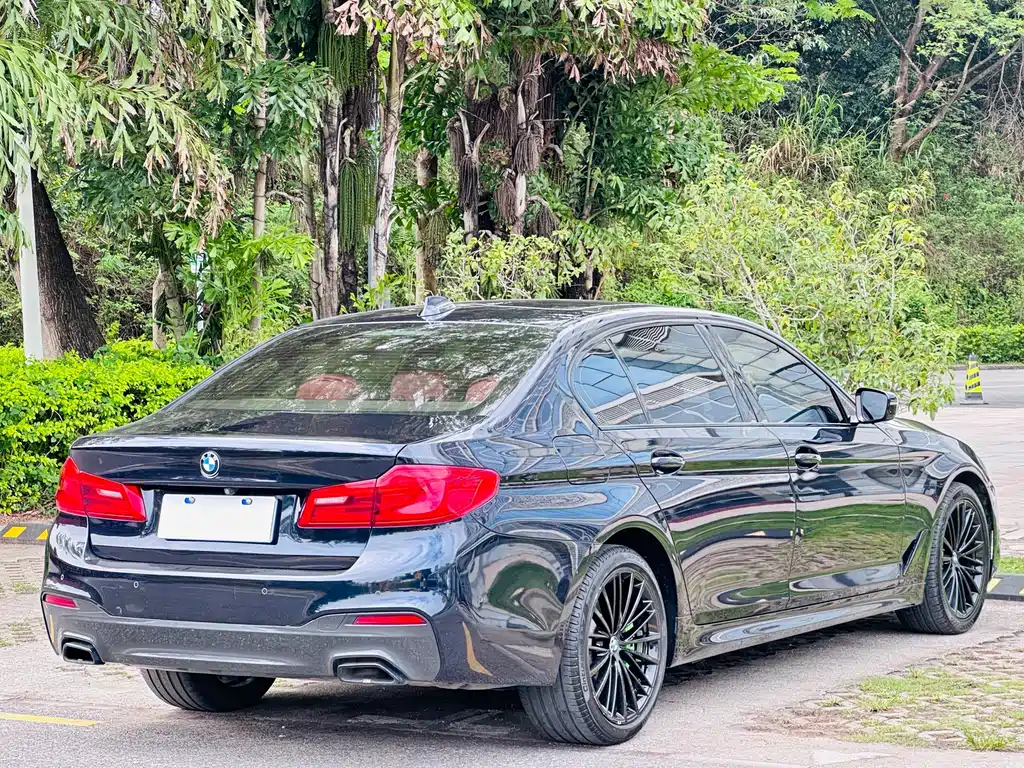 BMW 5 Series 2019 — фото 13