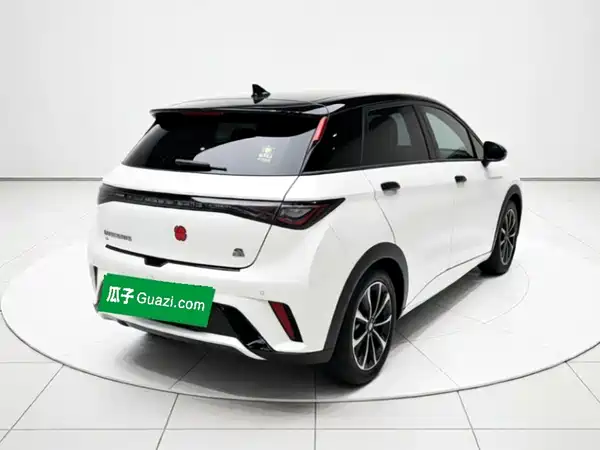 BYD Dolphin 2023