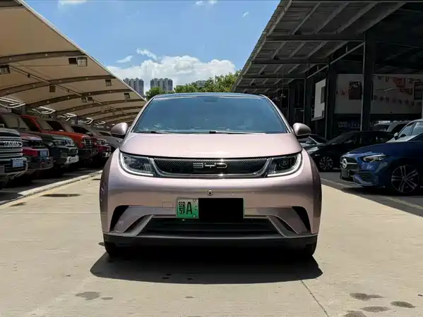 BYD Dolphin 2022