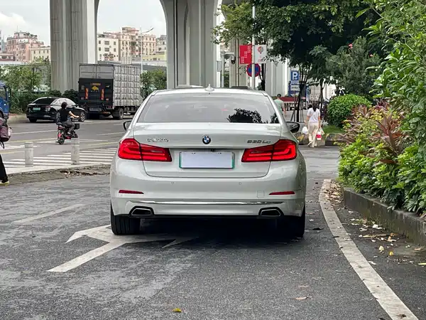 BMW 5 Series New Energy 2020