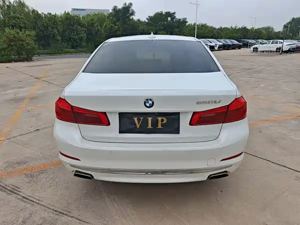 BMW 5 Series 2019