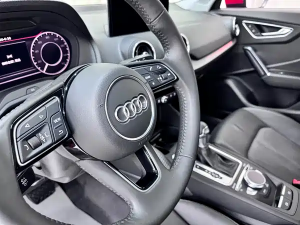 Audi Q2L E-Tron 2020