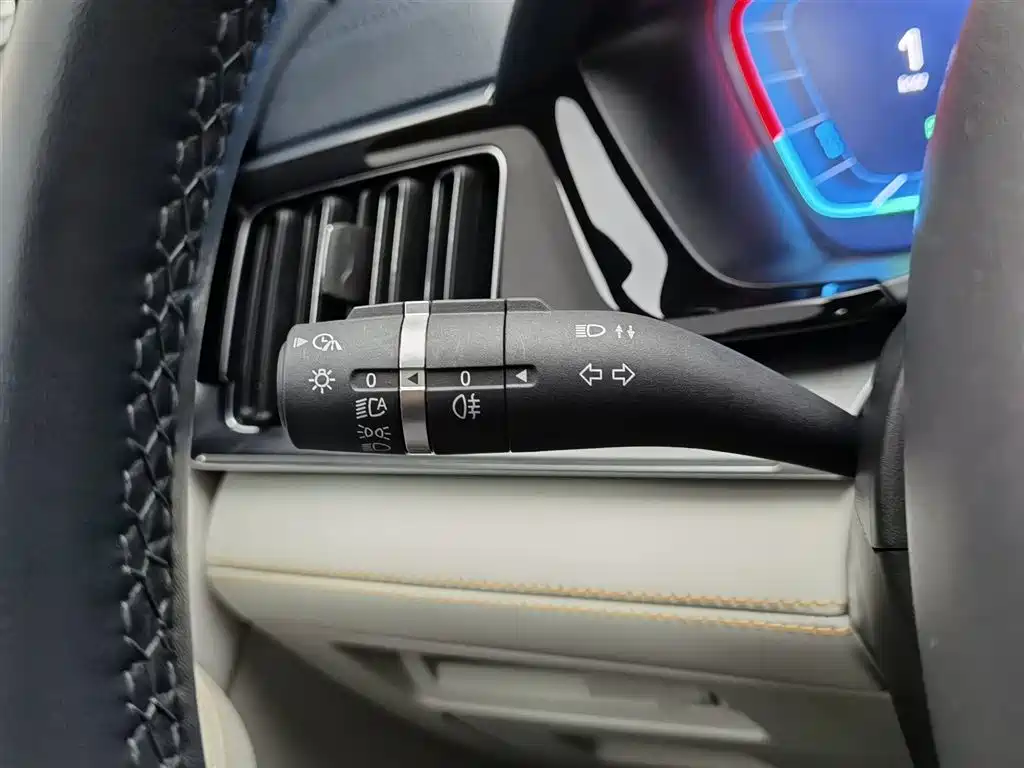 BYD PLUS New Energy 2024 — фото 21