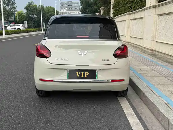 Wuling Bingo 2024