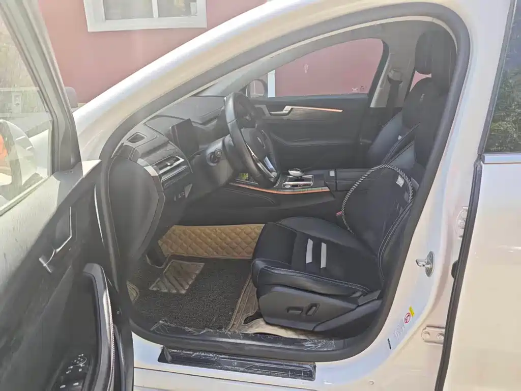 BYD Qin Pro NEV 2018 — фото 2