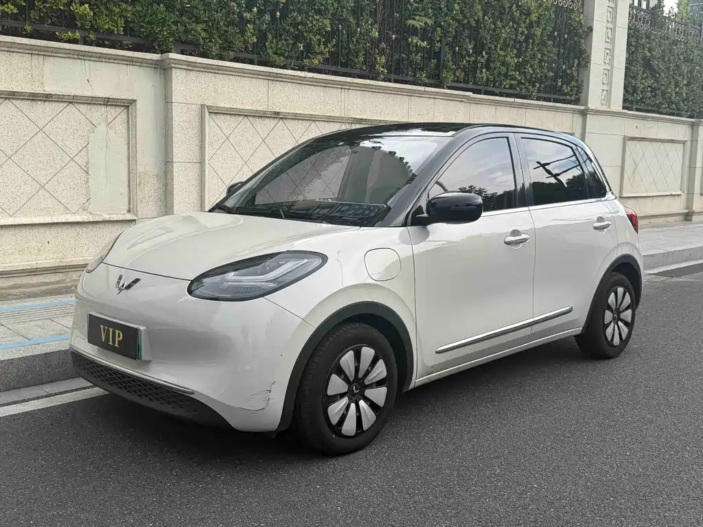 Wuling Bingo 2024