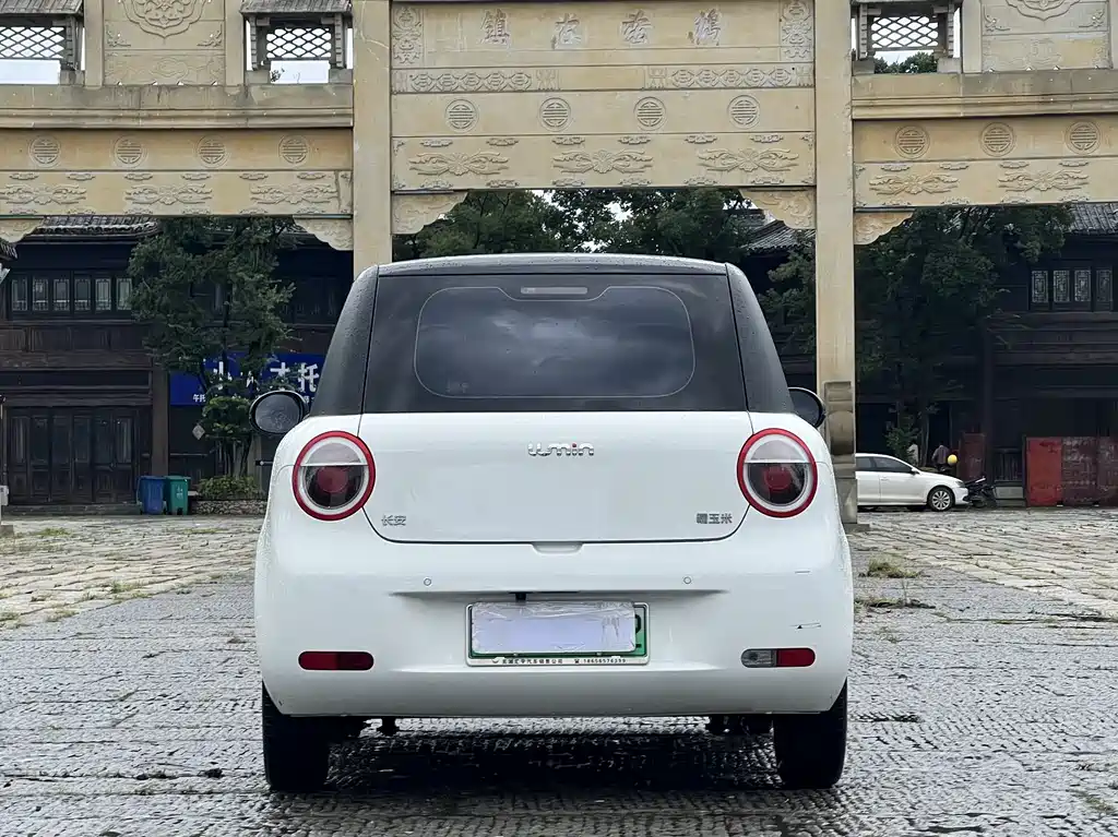 Qiyuan Lumin 2025