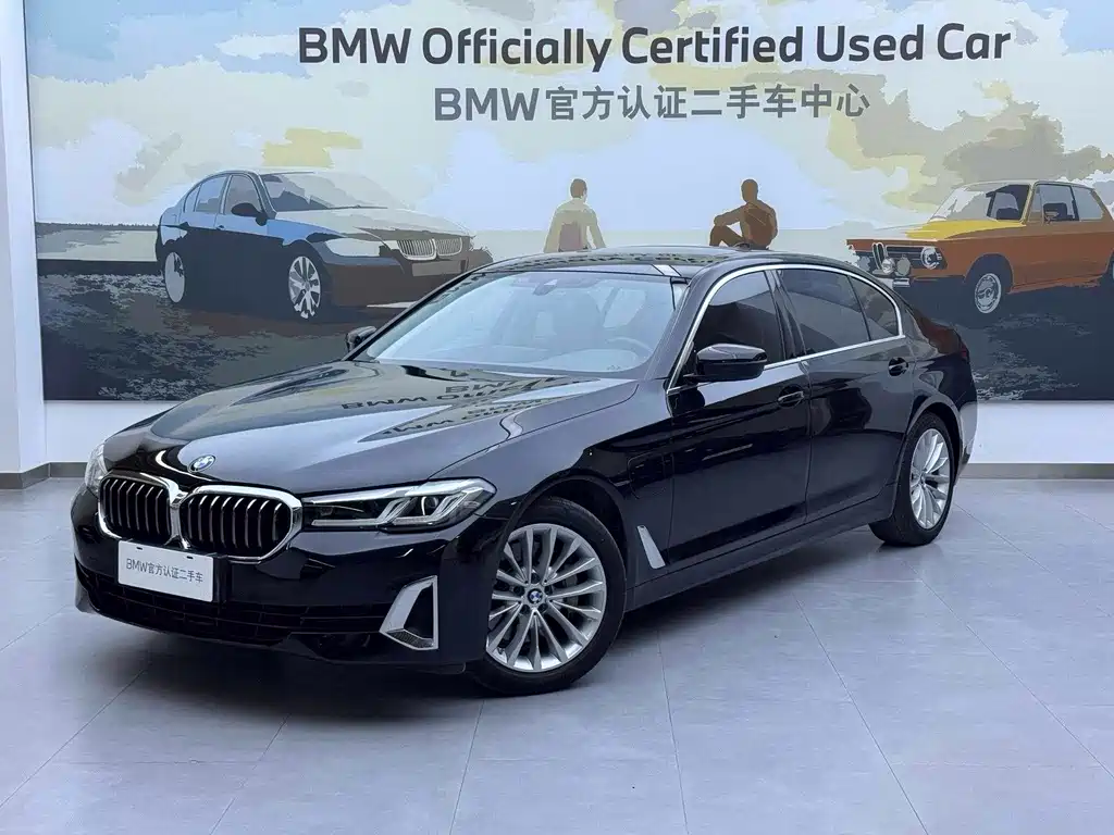 BMW 5 Series New Energy 2020