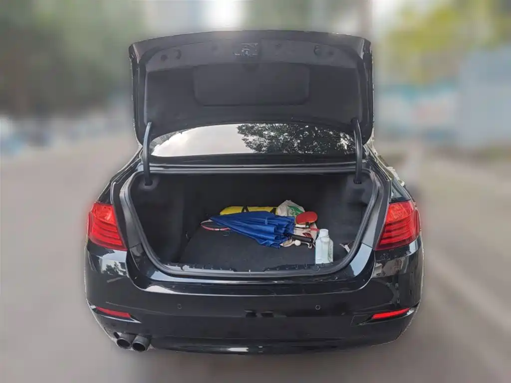 BMW 5 Series 2014 — фото 10