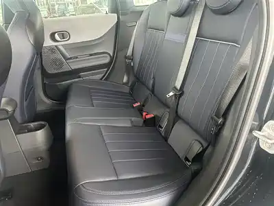 MINI MINI 2024